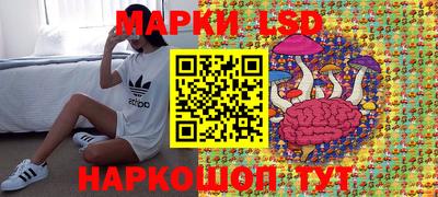 PSILOCYBIN Нальчик