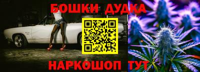 PSILOCYBIN Нальчик