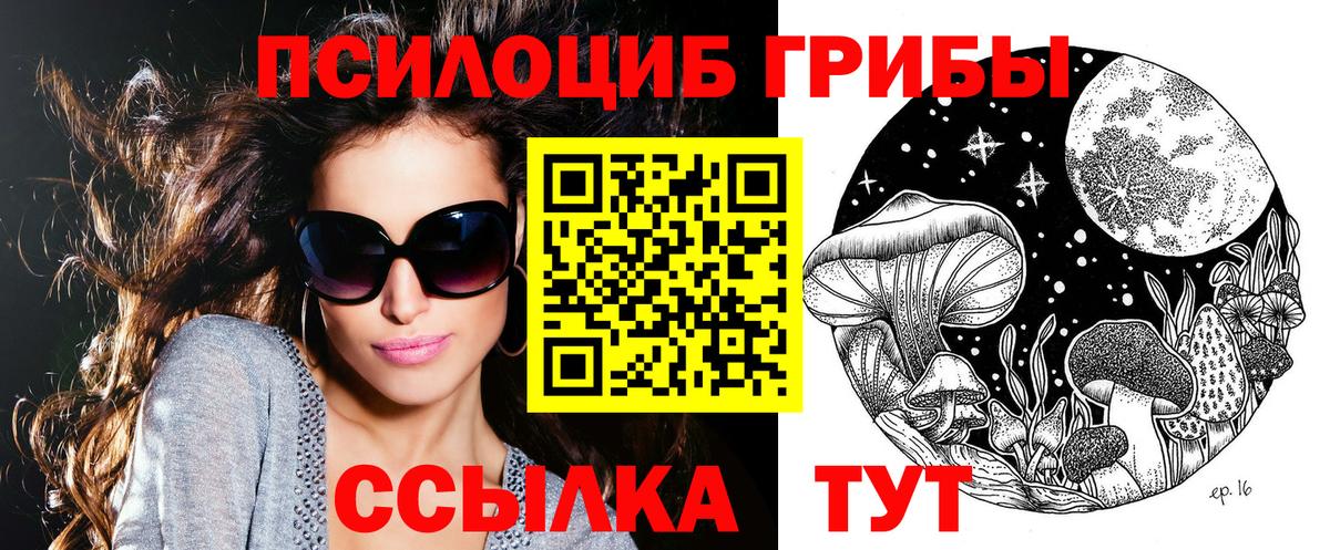 Псилоцибиновые грибы Psilocybine cubensis Уварово